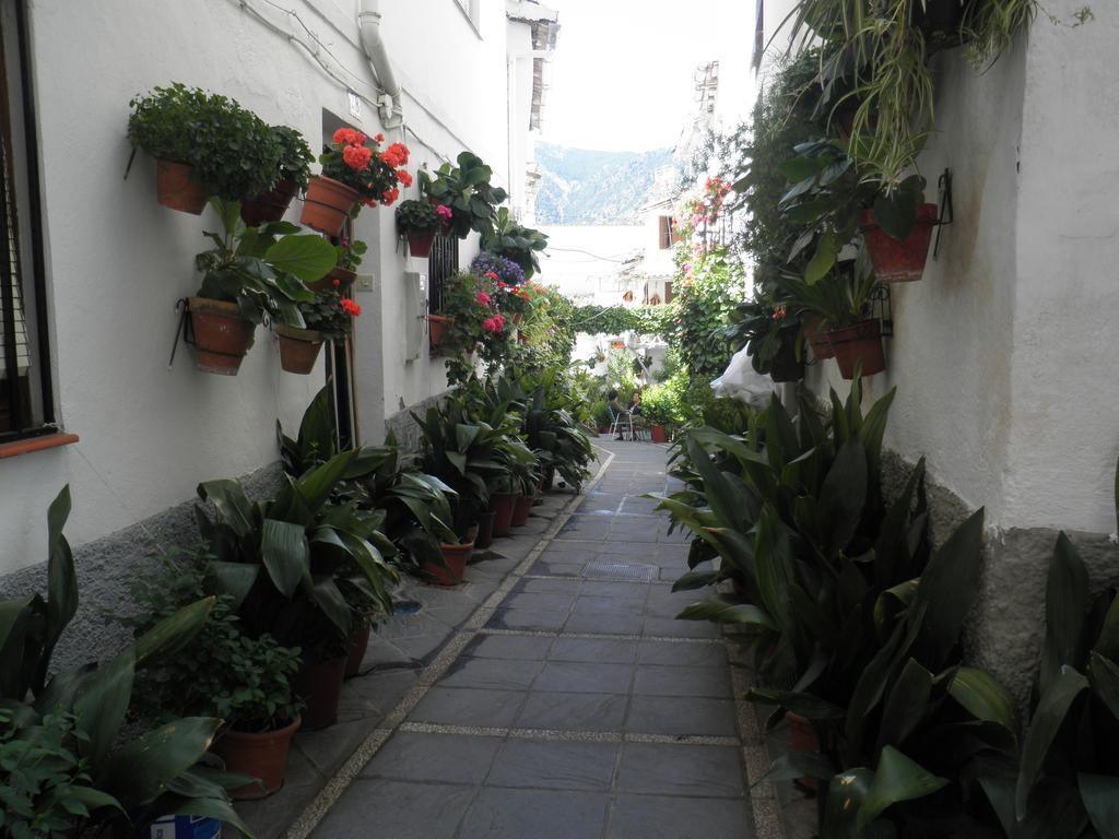 Hotel Juan Francisco Güéjar Sierra Eksteriør billede