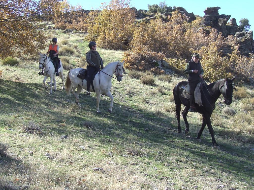 Hotel Juan Francisco Güéjar Sierra Eksteriør billede