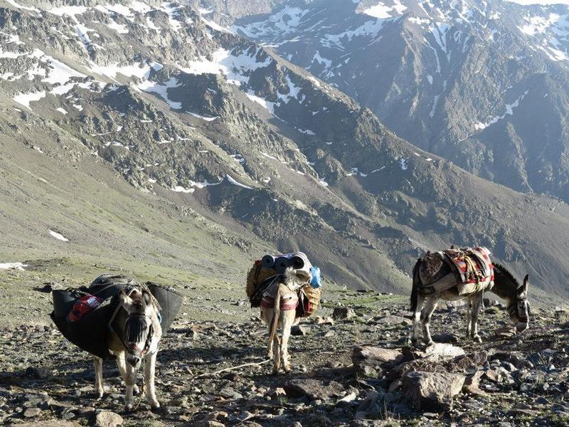 Hotel Juan Francisco Güéjar Sierra Eksteriør billede